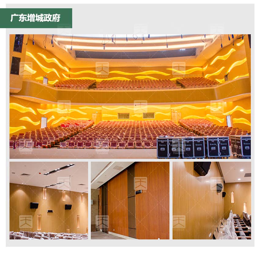 錄音室槽木吸音板報(bào)告廳工程案例