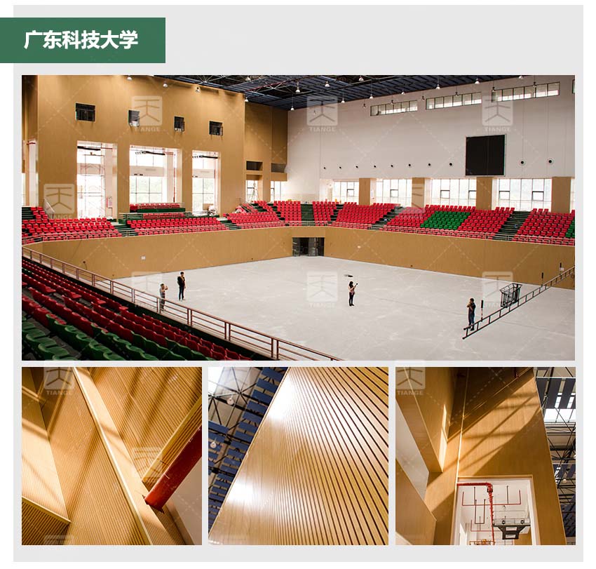 文化藝術(shù)中心槽木吸音板體育館工程案例