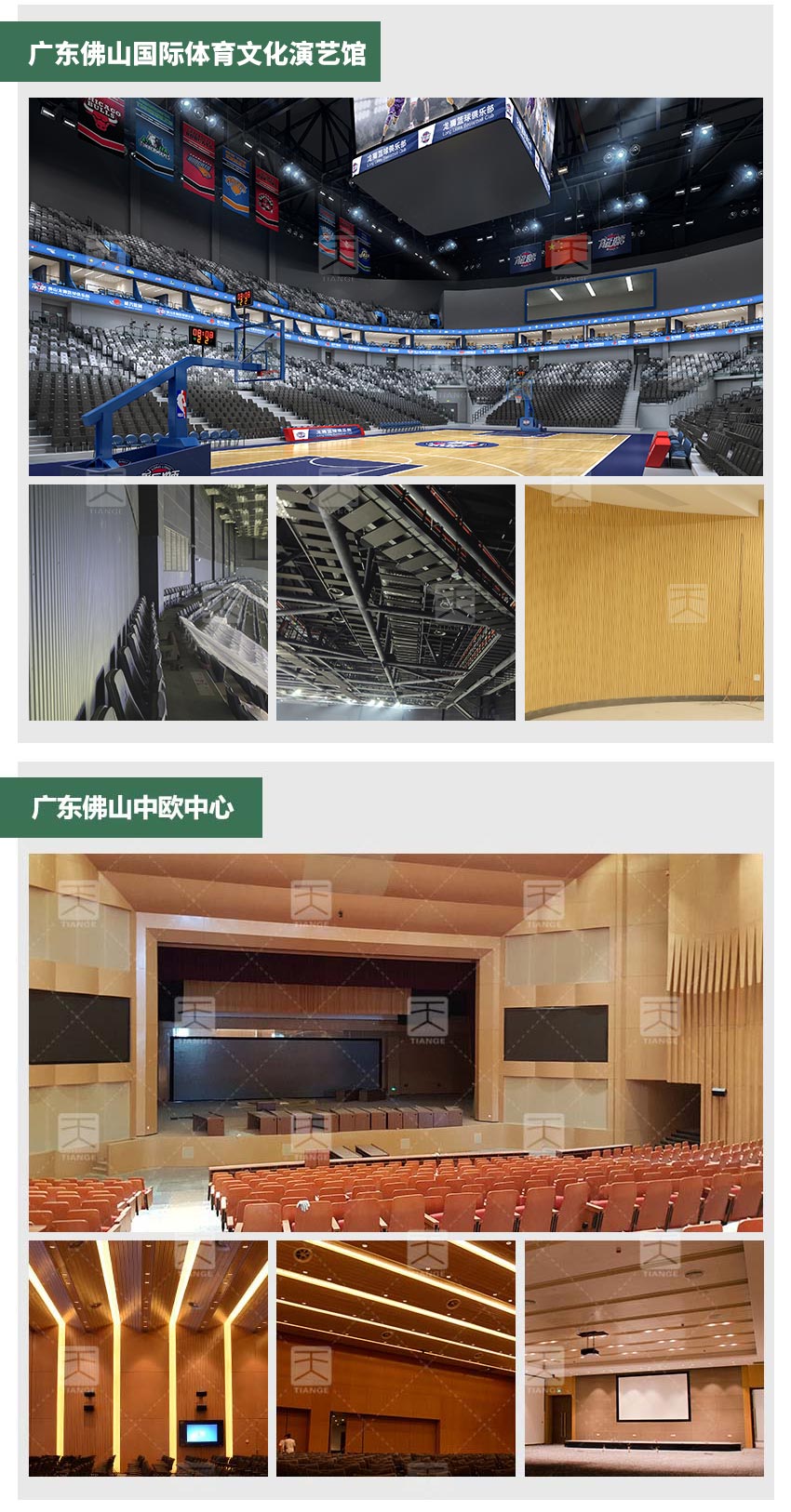 劇院槽木吸音板會議廳工程案例 劇院槽木吸音板會議廳工程案例