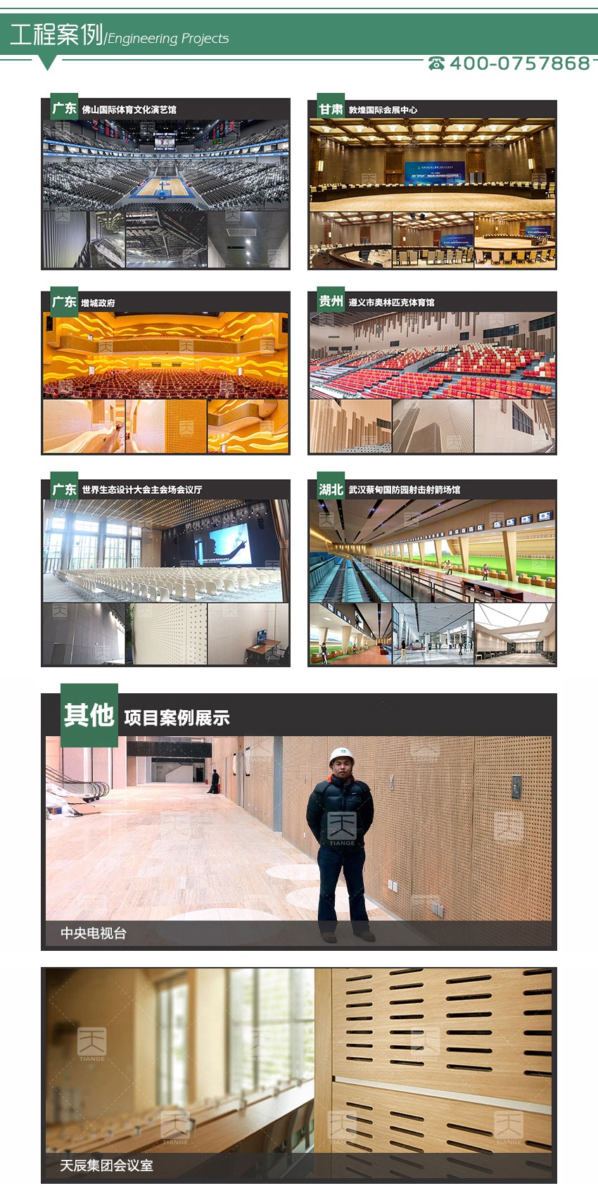 音樂(lè)廳孔木吸音板工程案例