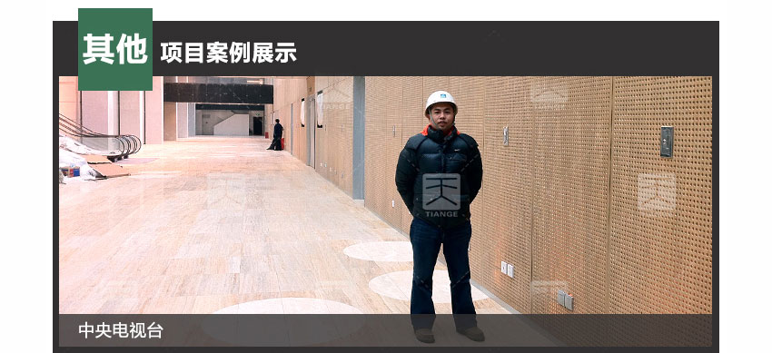 劇院孔木吸音板工程案例 劇院孔木吸音板工程案例