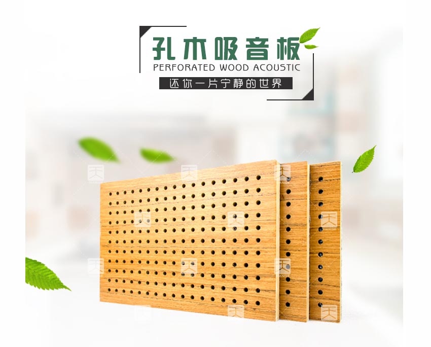 禮堂孔木吸音板