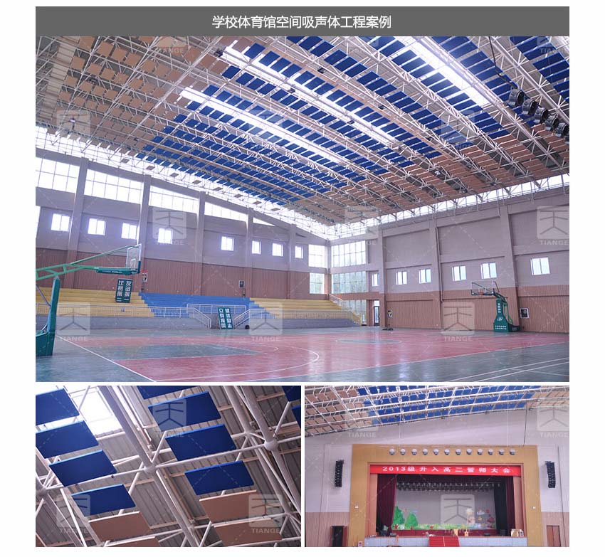 體育館空間吸聲體工程案例-4 體育館空間吸聲體工程案例-4