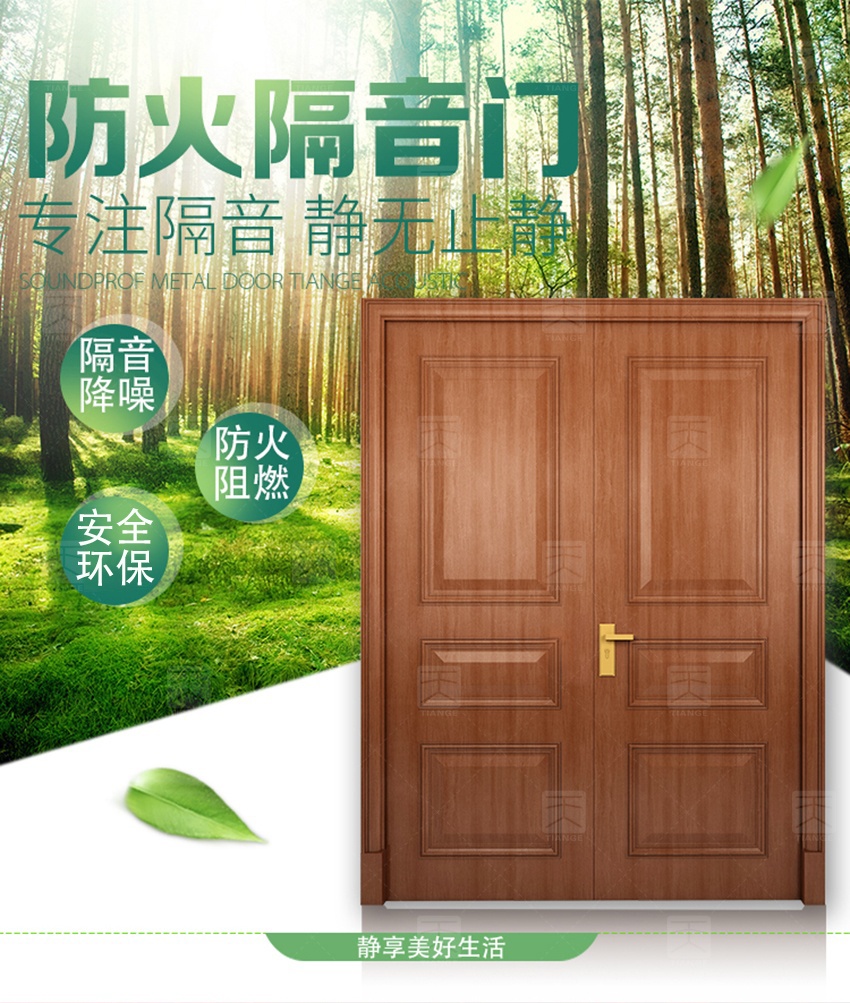 鋼質(zhì)木紋隔音門(mén)-1
