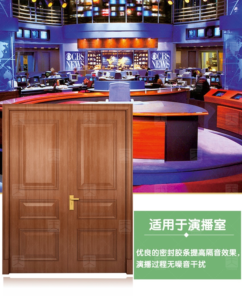 鋼質(zhì)木紋隔音門(mén)-9