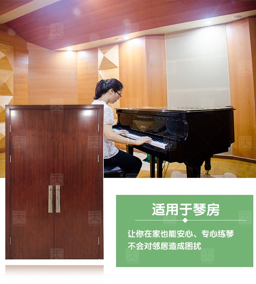 鋼質(zhì)木紋隔音門(mén)-13