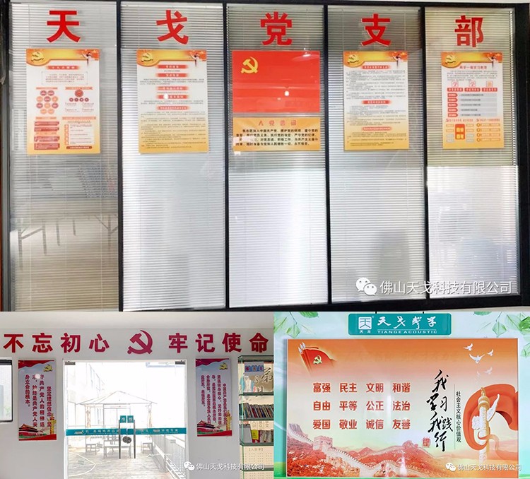 建黨節(jié)特輯，天戈聲學(xué)黨支部舉辦7月黨建日活動(dòng)