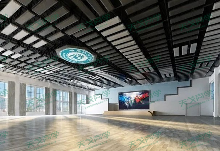 安徽徽商職業(yè)技術(shù)學(xué)院藝體中心聲學(xué)設(shè)計工程