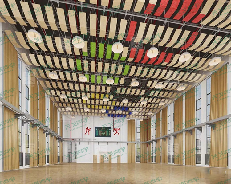 安徽合肥和平小學(xué)體育館聲學(xué)設(shè)計工程